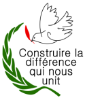 Logo officiel CDQNUnit-12 pce 300px